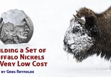 Classic US Coins – Building a Set of Buffalo Nickels at Very Low Cost
