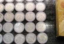 Anti-Counterfeiting Educational Foundation Warns: Hundreds of Websites Selling Fake Coins