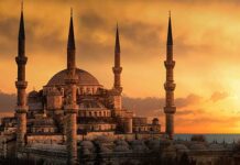 Coins of the Medieval Ottoman Sultans of Turkey