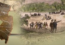 Collecting 18th Century New Jersey Copper Coins