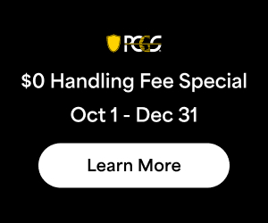 Professional Coin Grading Service