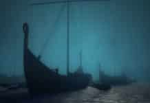 The Coins of Viking Age Scandinavia