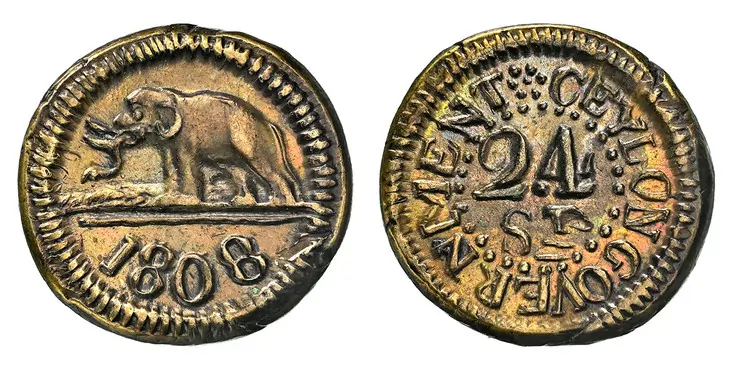 Attractive Ceylon 24 Stivers