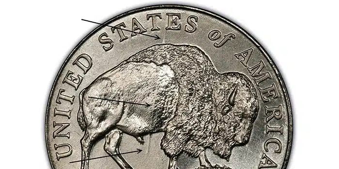 This closeup of the reverse of the 2005-D Speared Bison Nickel shows where a major die break caused a raised line that numismatists have dubbed the Speared Bison. Courtesy of PCGS.