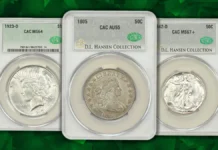 CAC December 2024 Highlights.