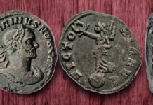 A Mysterious Carinus Coin: Steve Benner Figure 1: The Carinus bronze coin.