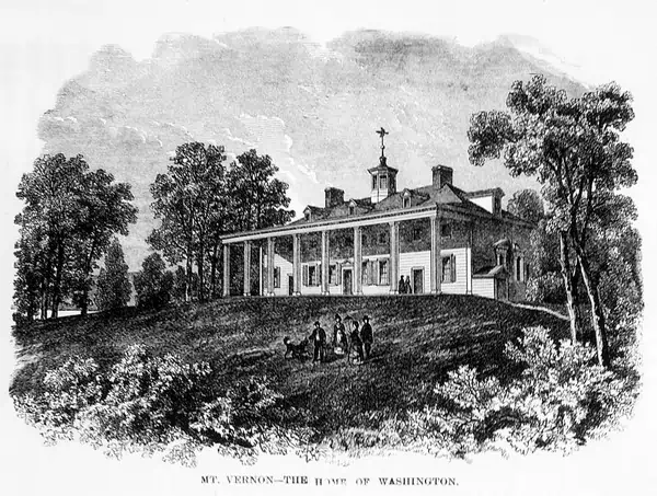 Mt Vernon