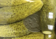 In a Pickle: The Curious Story of a Shrunken 1853 Large Cent